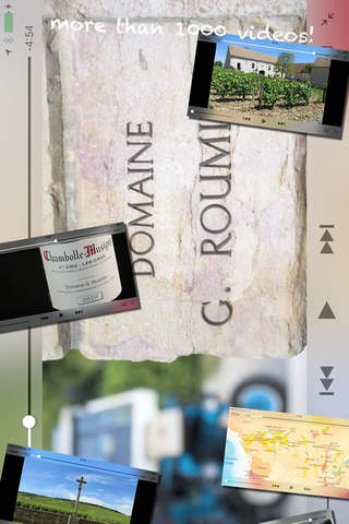 Burgundy Wines - náhled