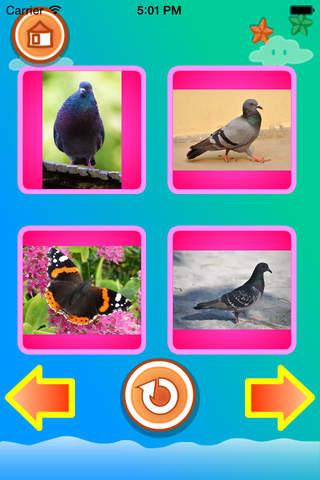 Toddler - Animals for kids - náhled