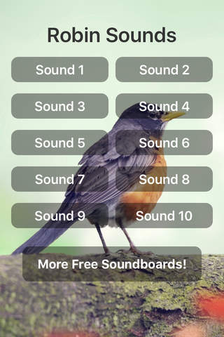 Robin Sounds - náhled