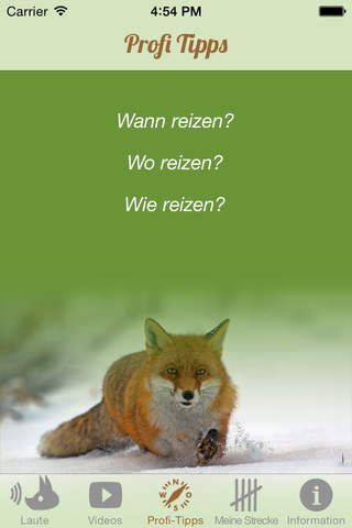 Fuchs Jagd - náhled