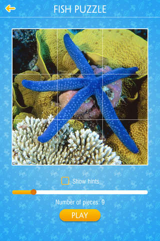 Fish Jigsaw Puzzles - náhled