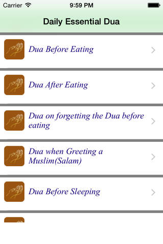 Daily Essential Duas - náhled
