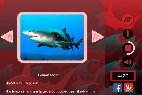The Best Sharks - náhled