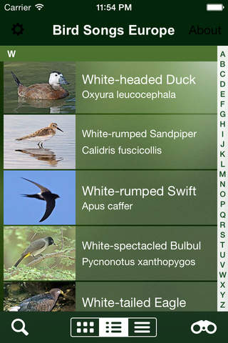 BIRD SONGS Europe, North Africa + Middle East - náhled