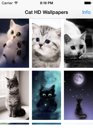 Cute Cats Wallpapers (HD) - Best Kitty Backgrounds - náhled