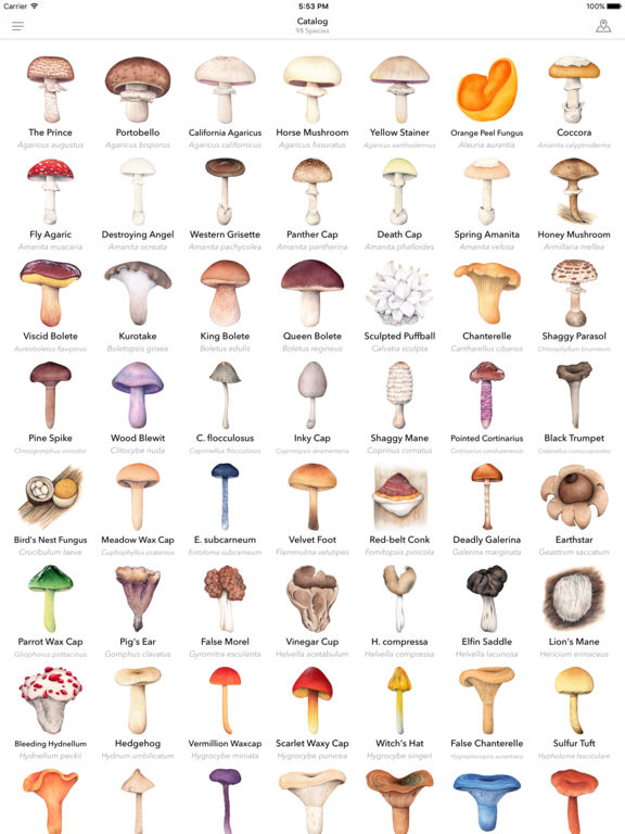 App Shopper: Mushroom Guide - North America (Reference)
