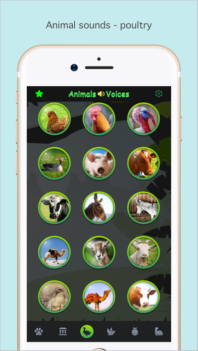 App Shopper: Animal Voices Box - Natural Animal Sounds Library (Education)