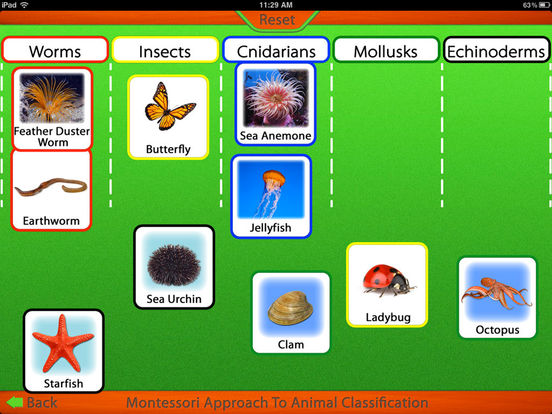 Montessori Approach To Zoology The Animal Kingdom Inv - vrogue.co