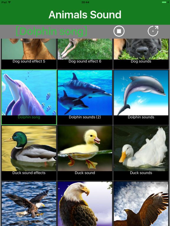 Animals Sound Animal Sound Effects Free Apps 148Apps