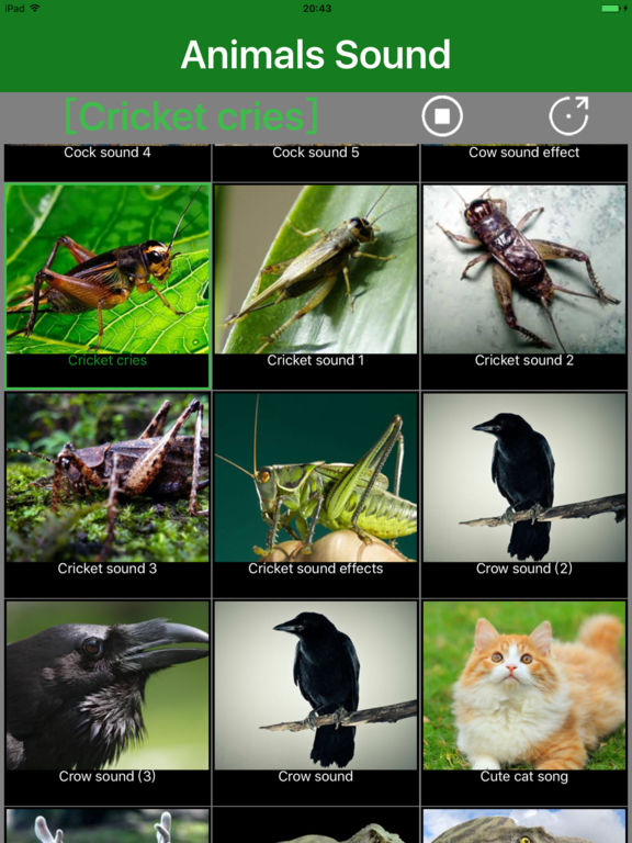 Animals Sound Animal Sound Effects Free Apps 148Apps