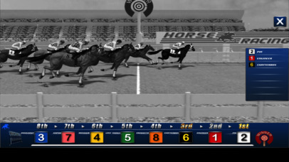 Horse Racing ® screenshot 5