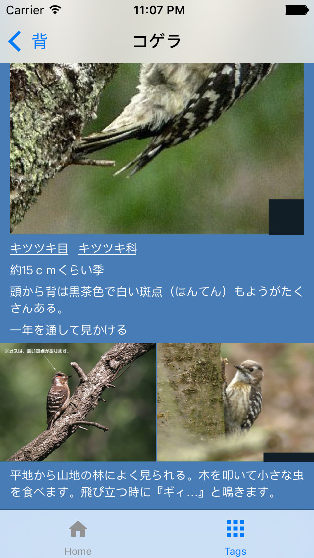 野鳥図鑑 screenshot 3