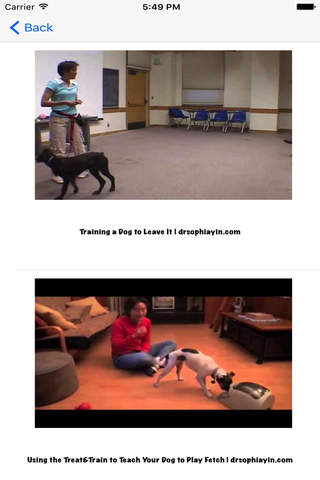 Dog Training (Free) - náhled