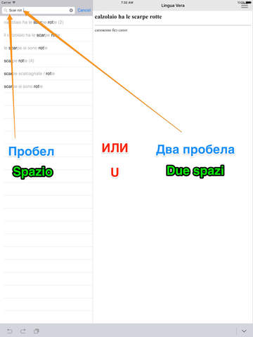 Русско <-> итальянский офлайн словарь LinguaVera-I - náhled