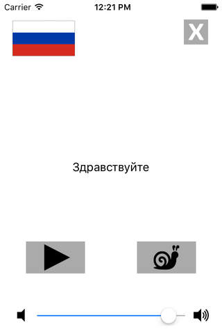Russian / German Talking Phrasebook Translator Dic - náhled