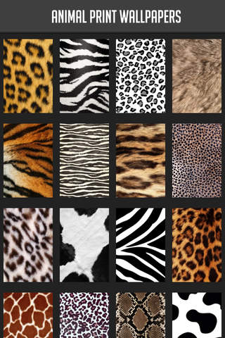 Animal Print Wallpapers - náhled