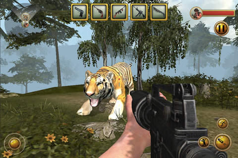 Animal Hunting : African Jungle - náhled