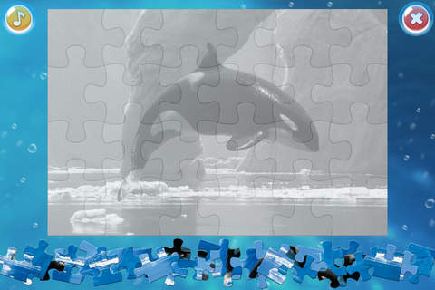 Arctic Animals Puzzle - náhled