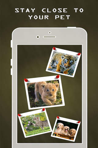 Photogram - Photo Collage Maker,Picture Jointer,St - náhled