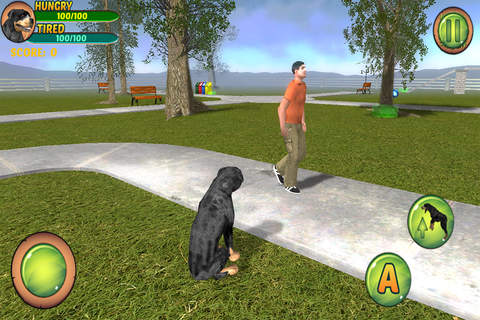 Rottweiler Dog Life Simulator - náhled