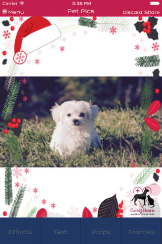 Caring Hearts Animal Hospital - náhled