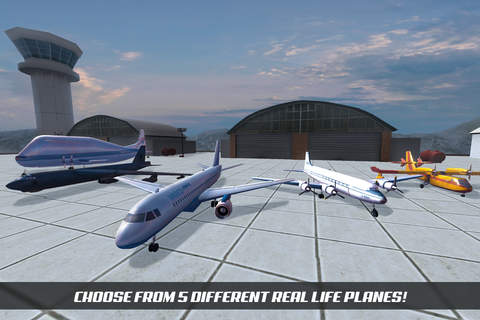 Airplane Alert Extreme Landing 3D - náhled