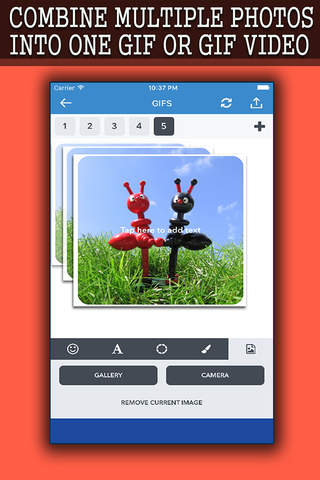 Animated Photo - Gif Animation Maker With  Custom  - náhled