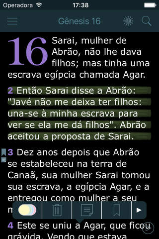 Bíblia da CNBB (Audio Bible in Portuguese) - náhled