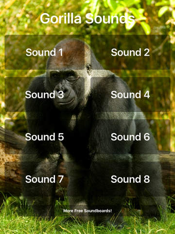 Gorilla Sounds - náhled