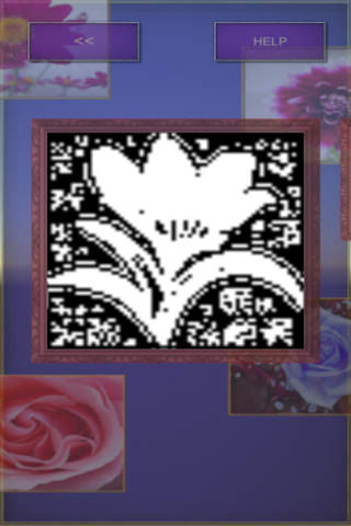 Picross Flower (nonogram) - náhled