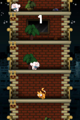 Jump Cat: The Jumping Kitten - náhled
