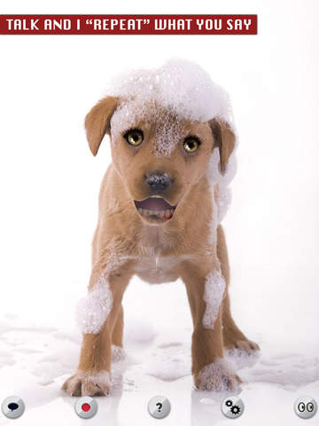 Talking Pup - náhled