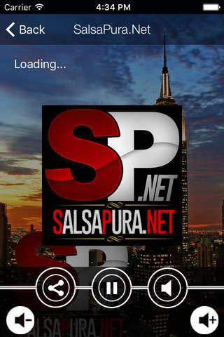 SalsaPura.Net - náhled