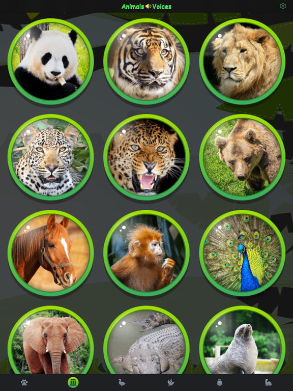 Animal Voices Box Pro - Natural Animal Sounds Library | Apps | 148Apps
