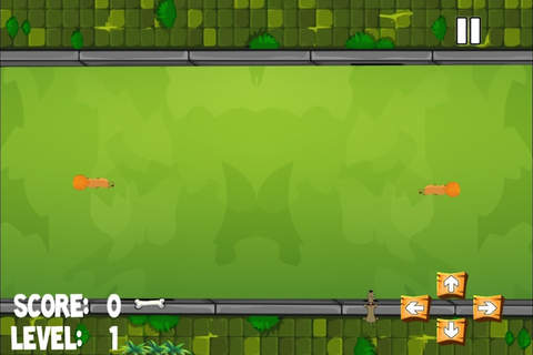 A Flash Dog in the Park Tasting Bones Around A Fur - náhled