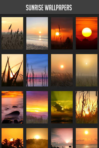 Sunrise Wallpaper - náhled