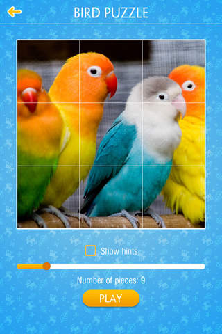 Bird Jigsaw Puzzle - náhled