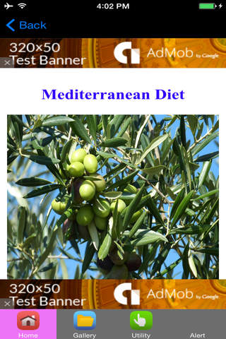 Mediterranean Diet Plan & Mediterranean Diet Recip - náhled