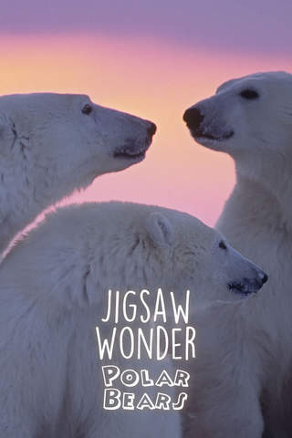 Jigsaw Wonder Polar Bear Puzzles for Kids Free - náhled
