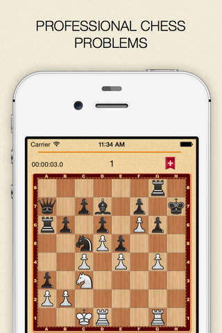 Mate in 1? OK! - náhled