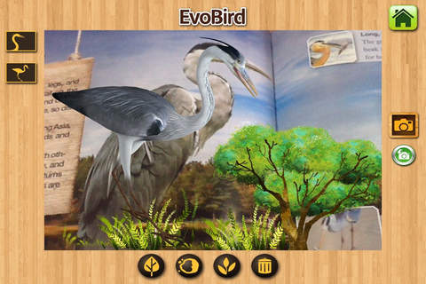 EVO BIRD - Augmented Reality - náhled