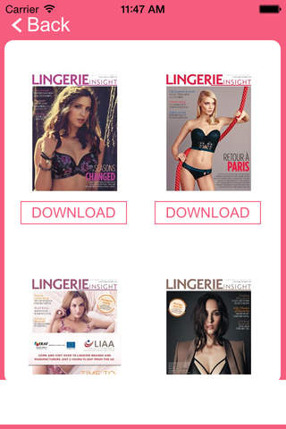 Lingerie Insight - náhled