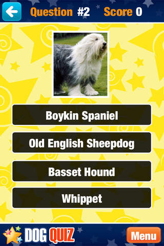 Guess the Dog - Free Breed Photo Quiz Game - náhled