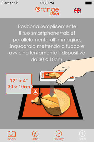 Orange Food - náhled
