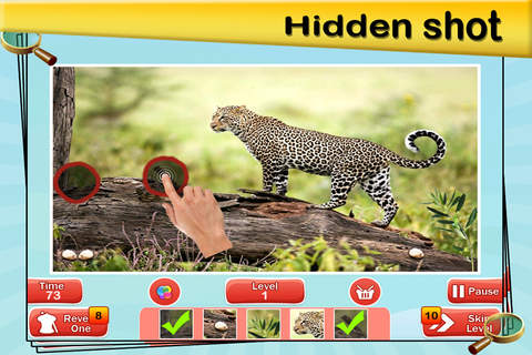 Hidden Spot : Hidden Object : Animal,Garden,Beach, - náhled
