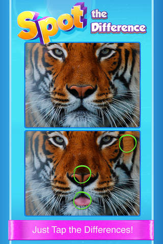 Spot The Difference! - What's the difference? A fu - náhled