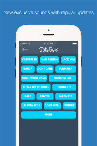TateBox 2015 - Andy Tate Soundboard - náhled