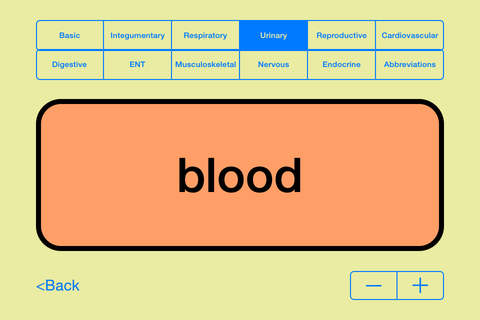 Medical Terms - Flashcards - náhled