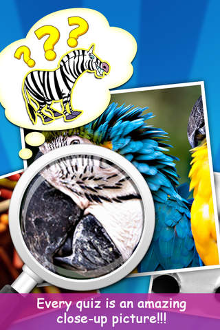 Guess the Picture - náhled