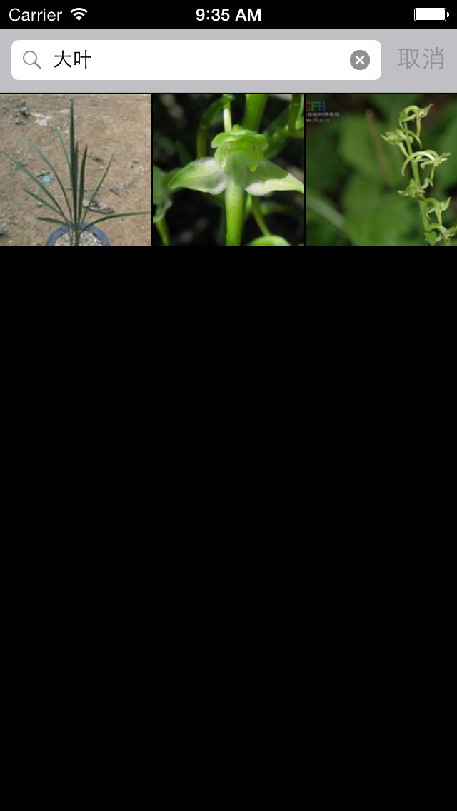 兰花大全-各种兰科植物 screenshot 3